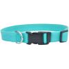 Coastal Pet New Earth Soy Adjustable Dog Collar Mint